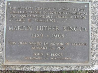 Dr. Martin Luther King, Jr. Memorial Tree Marker. Click for full size. Dr. Martin Luther King, Jr. Memorial Tree Marker image. Click for full size.