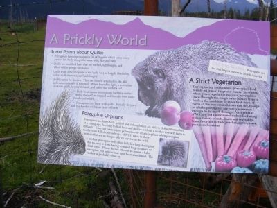 A Prickly World Marker. Click for full size. A Prickly World Marker image. Click for full size.