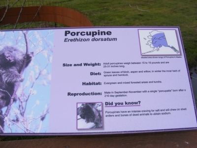 A Prickly World Marker. Click for full size. A Prickly World Marker image. Click for full size.