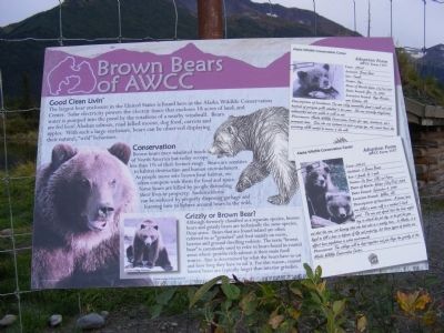 Brown Bears of AWCC Marker image. Click for full size.