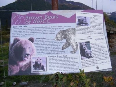 Brown Bears of AWCC Marker. Click for full size. Brown Bears of AWCC Marker image. Click for full size.