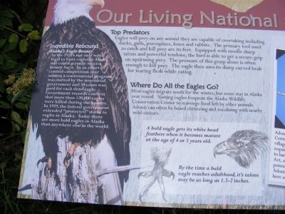 Our Living National Symbol Marker. Click for full size. Our Living National Symbol Marker image. Click for full size.