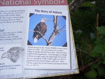 Our Living National Symbol Marker. Click for full size. Our Living National Symbol Marker image. Click for full size.
