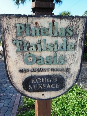 Old County Road 37 Rough Surface Sign image. Click for full size.