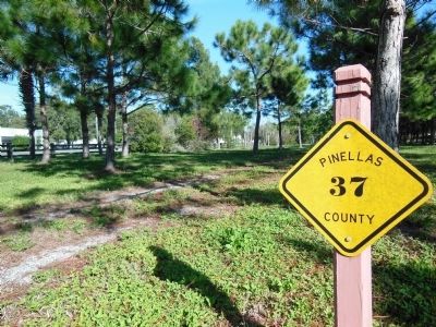 Old County Road 37 Sign image. Click for full size.