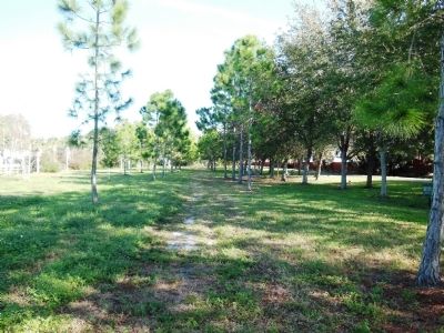 Stage Coach Road (Old County Road 37) image. Click for full size.