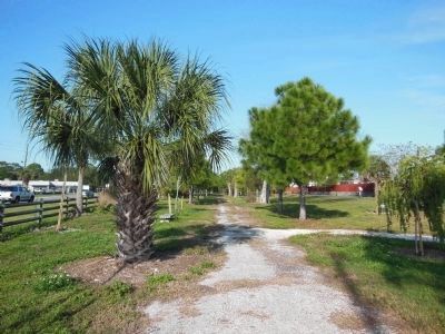 Stage Coach Road (Old County Road 37) image. Click for full size.