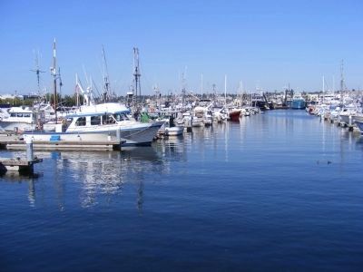 Seattle Harbor in front of the Memorial image. Click for full size.