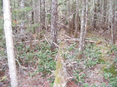 View Along the Trail. Click for full size. View Along the Trail image. Click for full size.
