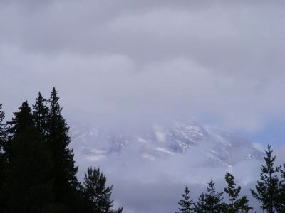 View Along the Trail. Click for full size. View Along the Trail image. Click for full size.