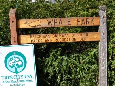 Whale Park Sign image. Click for full size.