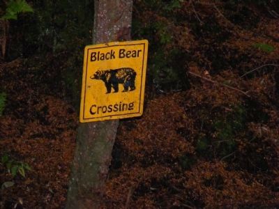 Black Bear Crossing sign near the Pelton wheels Marker image. Click for full size.