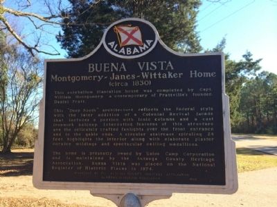 Buena Vista Marker image. Click for full size.