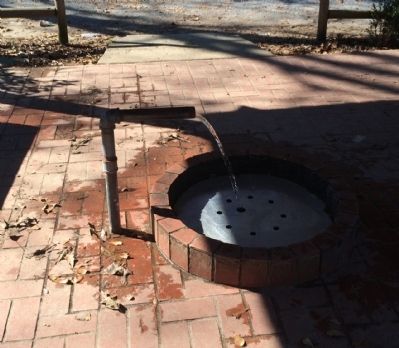 Doster Road Artesian Well image. Click for full size.