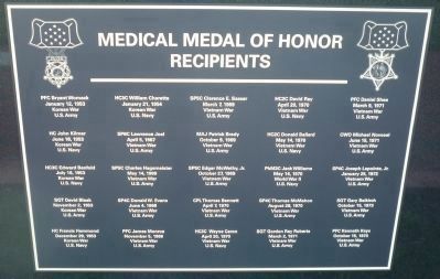 Medical Medal of Honor Recipients - Panel 3 image. Click for full size.
