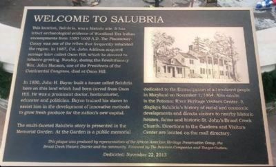 Welcome to Salubria Marker image. Click for full size.