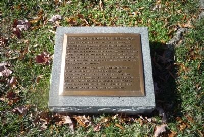 The Commander in Chief's Oak Marker. Click for full size. The Commander in Chief's Oak Marker image. Click for full size.