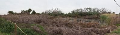 Lafitte's Grove Marker image. Click for full size.