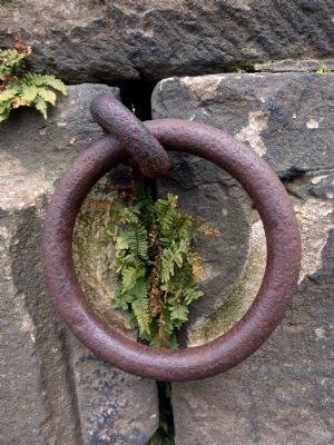 Iron Ring. Click for full size. Iron Ring image. Click for full size.