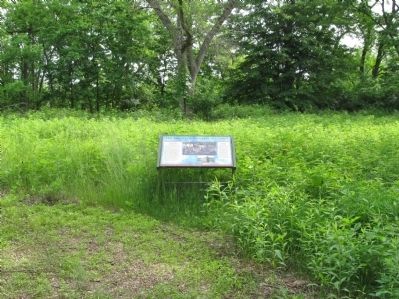 The Treaty of Traverse des Sioux Marker. Click for full size. The Treaty of Traverse des Sioux Marker image. Click for full size.