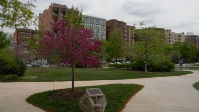All Hallows Guild Members' marker - view with Wisconsin Avenue in background. Click for full size. All Hallows Guild Members' marker - view with Wisconsin Avenue in background image. Click for full size.