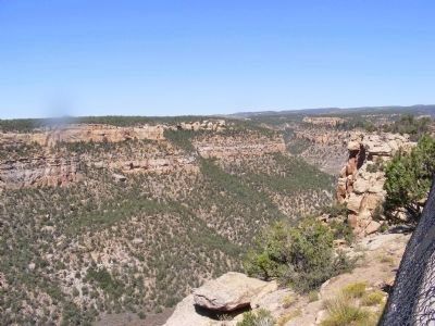 Mesa Verde Canyon. Click for full size. Mesa Verde Canyon image. Click for full size.