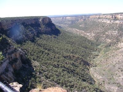 Mesa Verde Canyon. Click for full size. Mesa Verde Canyon image. Click for full size.