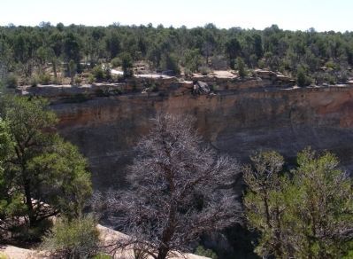 Mesa Verde Canyon. Click for full size. Mesa Verde Canyon image. Click for full size.