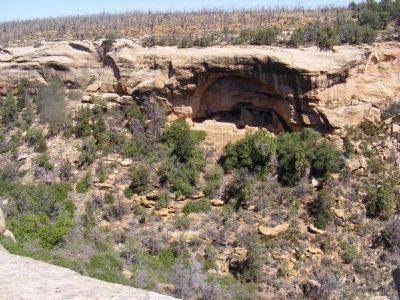 Mesa Verde Alcoves image. Click for full size.
