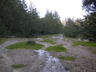 Slippery Rock. Click for full size. Slippery Rock image. Click for full size.