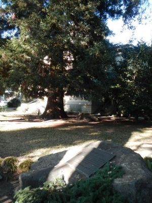 The Pardee House Marker. Click for full size. The Pardee House Marker image. Click for full size.