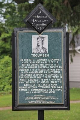 Tecumseh Marker. Click for full size. Tecumseh Marker image. Click for full size.