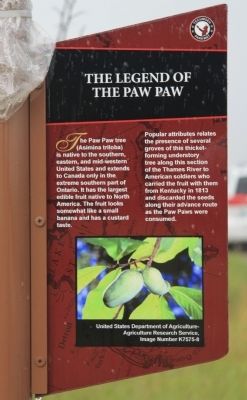 The Legend of the Paw Paw Marker. Click for full size. The Legend of the Paw Paw Marker image. Click for full size.