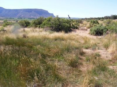 Yucca House National Monument image. Click for full size.