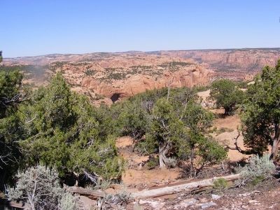 Betatakin Canyon. Click for full size. Betatakin Canyon image. Click for full size.