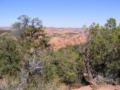 Tsegi Canyon. Click for full size. Tsegi Canyon image. Click for full size.