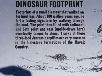 Dinosaur Footprint Marker image. Click for full size.