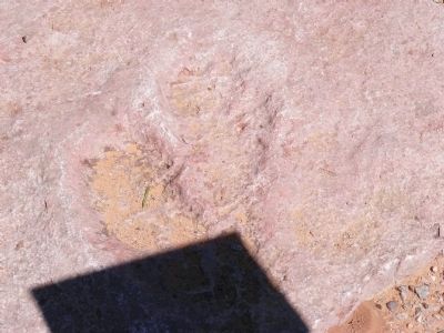 Dinosaur Footprint. Click for full size. Dinosaur Footprint image. Click for full size.