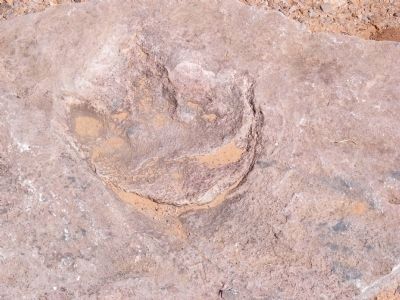Dinosaur Footprint. Click for full size. Dinosaur Footprint image. Click for full size.