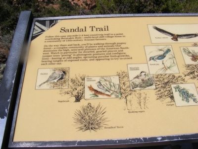 Sandal Trail Marker image. Click for full size.