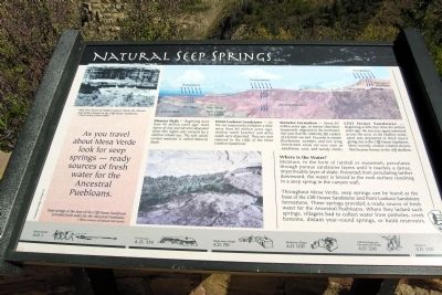 Natural Seep Springs Marker image. Click for full size.