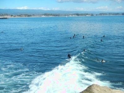 Surfing at Steamer Lane in January image. Click for full size.