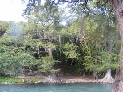 Guadalupe River. Click for full size. Guadalupe River image. Click for full size.