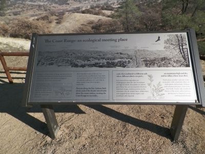 The Coast Range: an ecological meeting place Marker image. Click for full size.