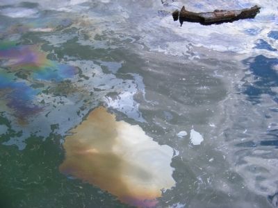 Water near Hatch #3 showing the oil leaking. Click for full size. Water near Hatch #3 showing the oil leaking image. Click for full size.