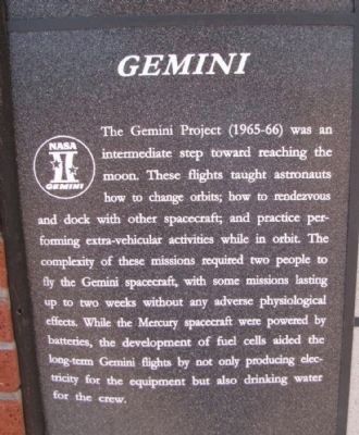 Gemini image. Click for full size.