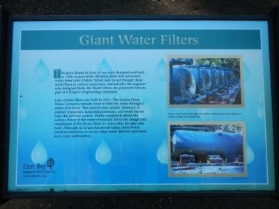 Giant Water Filters Marker image. Click for full size.