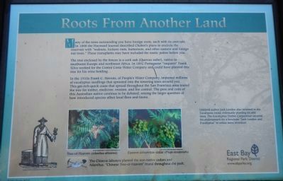 Roots From Another Land Marker image. Click for full size.
