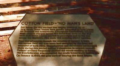 Cotton Field – "No Man's Land" Marker image. Click for full size.