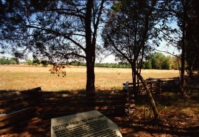 The Cotton Field image. Click for full size.